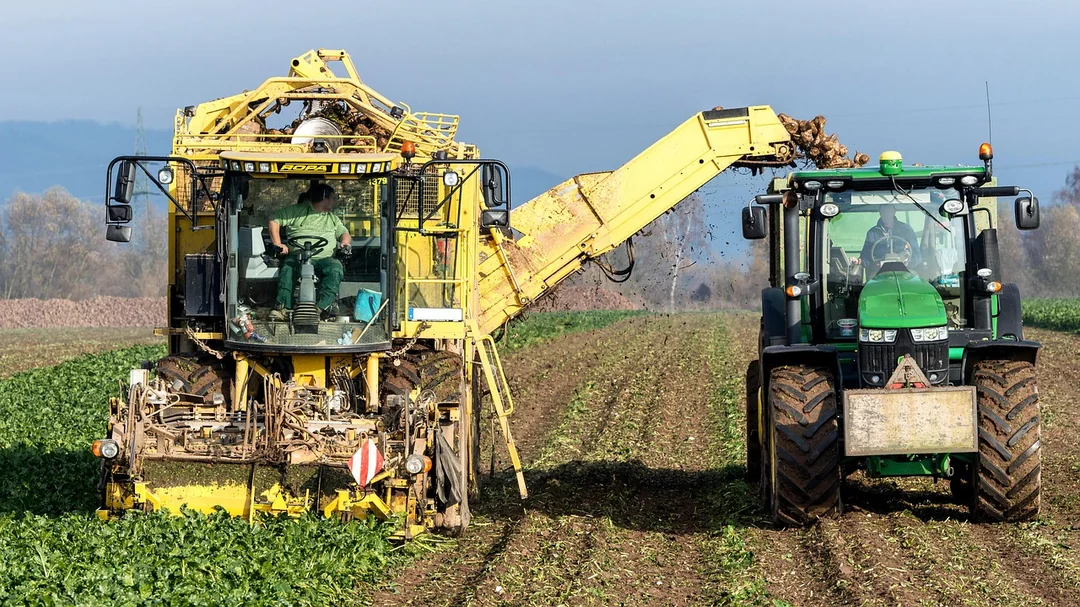 Najlepszy automatyzacja sprzedaży call center - kryteria wyboru dla real estate - turnip, vegetables, harvest, agriculture, nourishment, naturally, machine, fields, tuber, nature, floor, farmer, sugar beet, 